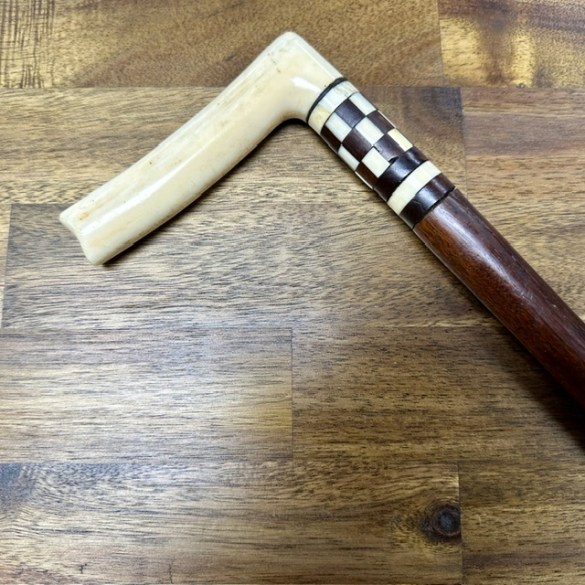 Walking Stick 3